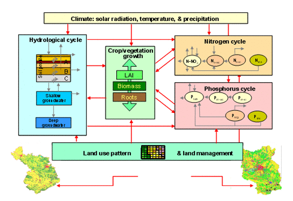 Scheme of SWIM structure