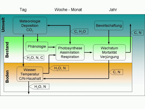 Schema zu 4C