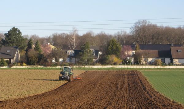 Tractor working in the field