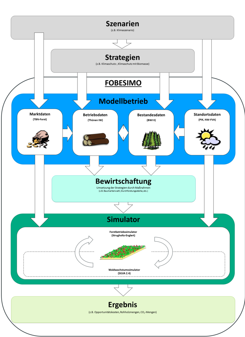 Schema vom forstbetrieblichen Simulationsmodell FOBESIMO