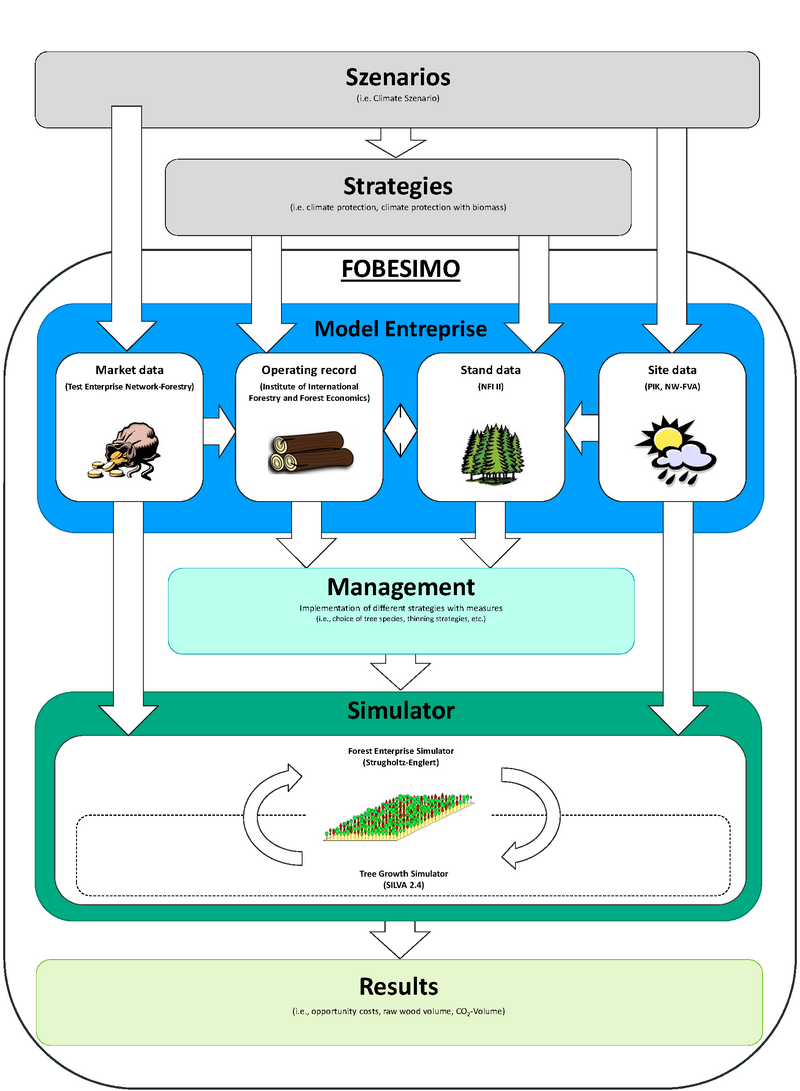 Scheme of the forestry simulation model FOBESIMO