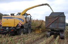 Corn chopper during harvest