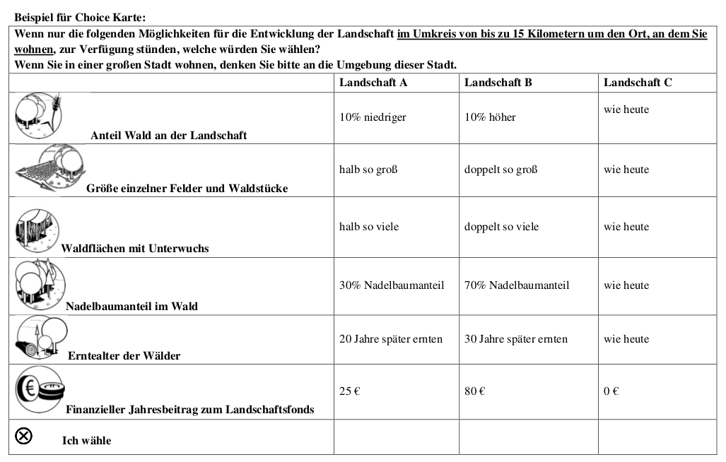 Auszug aus dem Fragebogen