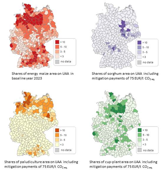 Maps 1 to 4 represent the regional distribution of energy maize production in the baseline